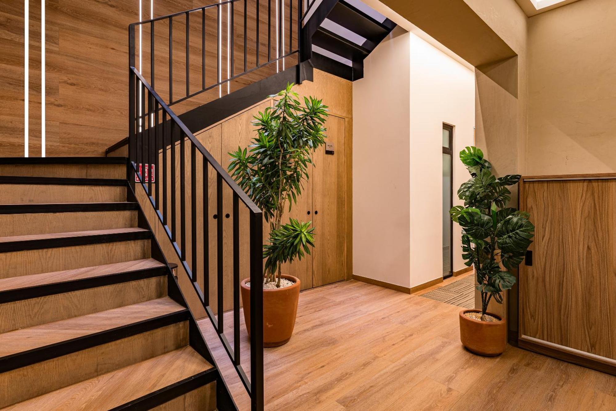 מקסיקו סיטי The Boutique Suites 187 By Vh מראה חיצוני תמונה